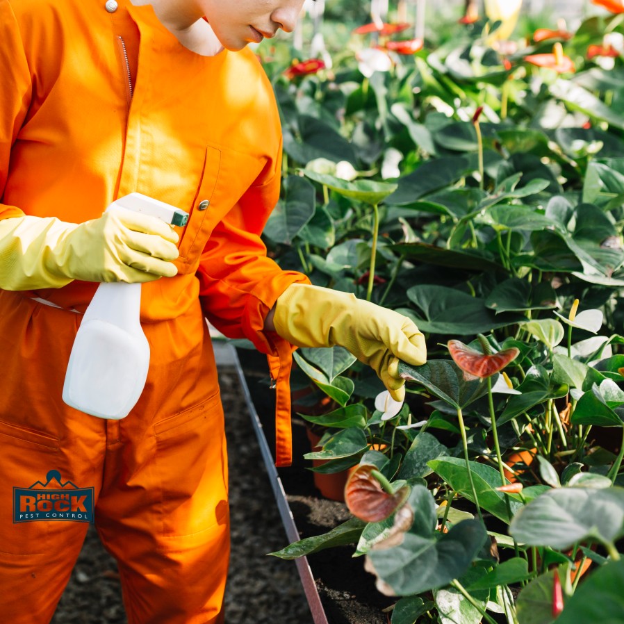 Why You Should Choose Professional Pest Control Over DIY Methods in Cleveland OH